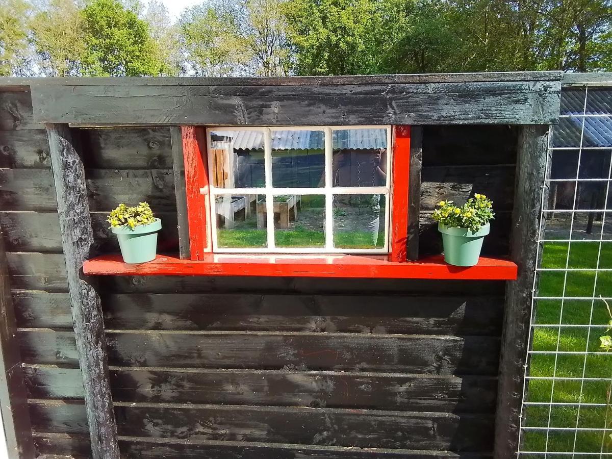 Vakantiewoning 'T Bakhuus Bergentheim Dış mekan fotoğraf