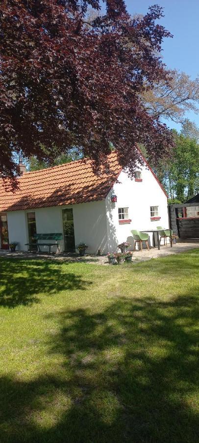 Vakantiewoning 'T Bakhuus Bergentheim Dış mekan fotoğraf